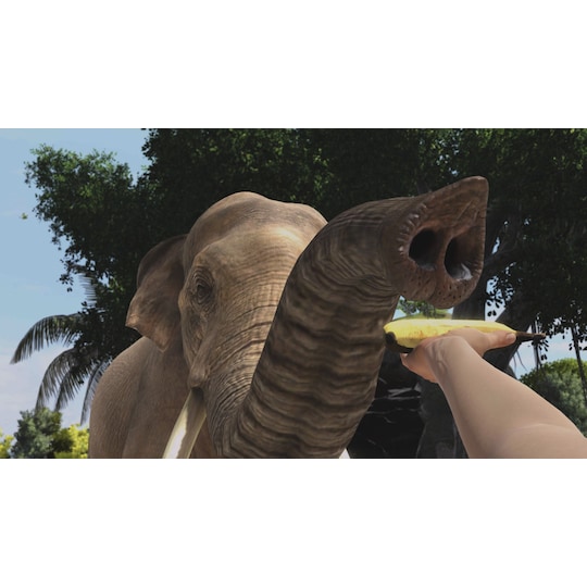 Zoo Tycoon: Ultimate Animal Collection - PC Windows