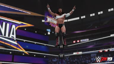 WWE 2K19 - PC Windows