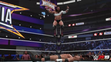 WWE 2K19 - PC Windows