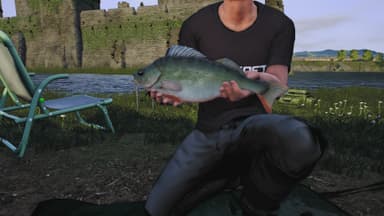 Dovetail Games Euro Fishing: Ultimate Edition - PC Windows