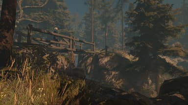 Through the Woods: Digital Collector's Edition - PC Windows