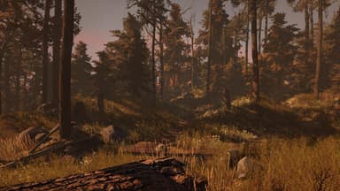 Through the Woods: Digital Collector's Edition - PC Windows