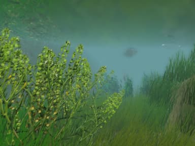 European Fishing - PC Windows