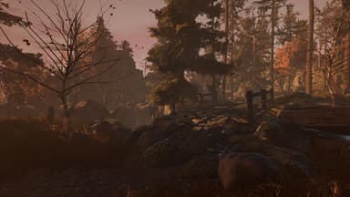Through the Woods: Digital Collector's Edition - PC Windows