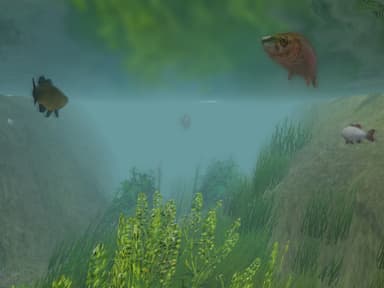 European Fishing - PC Windows