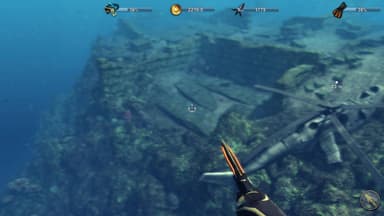 Depth Hunter 2: Treasure Hunter - PC Windows