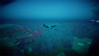 RiME - PC Windows