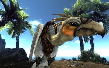 Risen - PC Windows