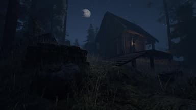 Through the Woods: Digital Collector's Edition - PC Windows