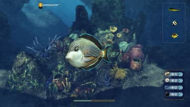 Depth Hunter 2: Scuba Kids - Hidden Treasures - PC Windows