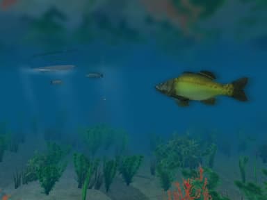 European Fishing - PC Windows