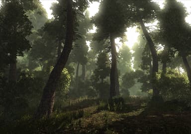 Risen - PC Windows
