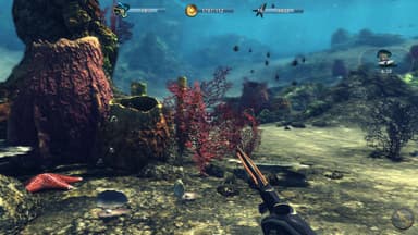 Depth Hunter 2: Treasure Hunter - PC Windows