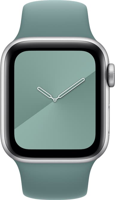 Apple 40 mm Sport armband (kaktus)