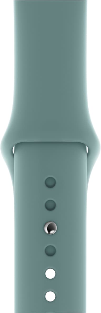 Apple 40 mm Sport armband (kaktus)