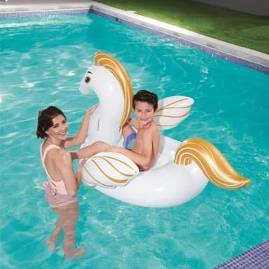 Pegasus badring 159cm x 109cm