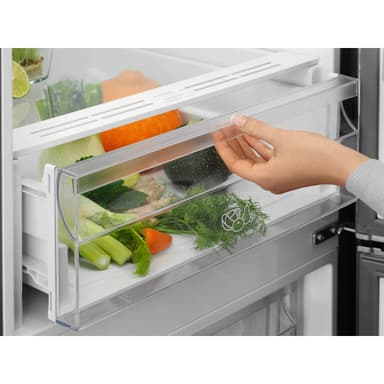 Electrolux kyl/frys LNT5ME32U0 (Rostfritt)