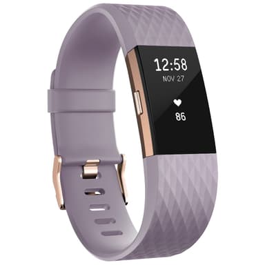 Fitbit Charge 2 aktivitetsarmband Special Edition (S)