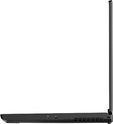 Lenovo ThinkPad P53 15.6" bärbar dator i9/32 GB (svart)