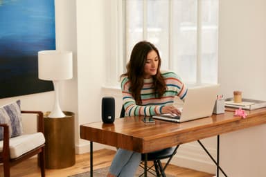 JBL Link Portable Wi-Fi  högtalare med laddningsstation (svart)