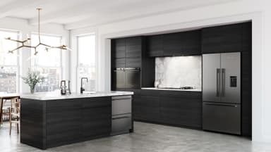 Fisher & Paykel Dubbel Diskmaskin 09312068 (svart)