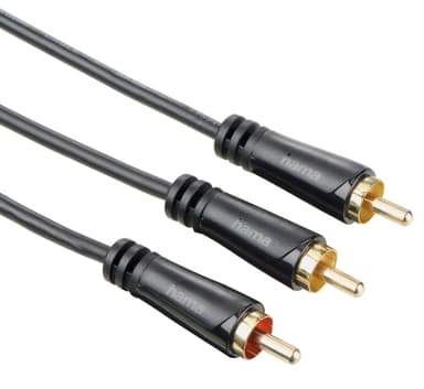 Kan du ansluta 2 subwoofers till en mottagare