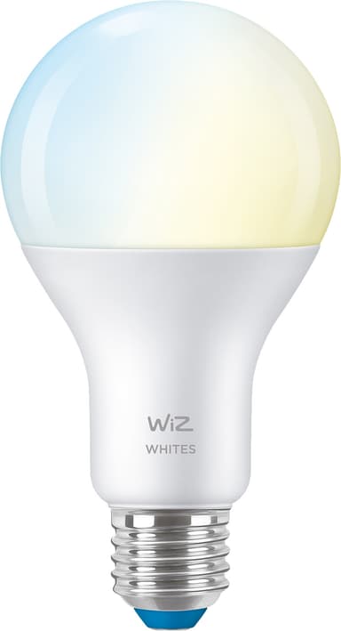 Wiz Light LED-lampa 13W E27 871869978617500