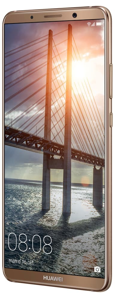 Huawei Mate 10 Pro smartphone (mocha brun) Huawei Mate 10 Pro smartphone (mocha brun)