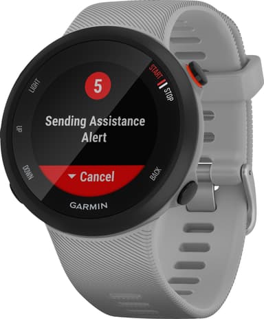 Garmin forerunner 45 cena hot sale