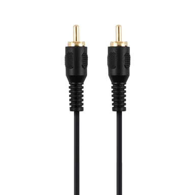 1 RCA - 1 RCA Hane-Hane 1.5m