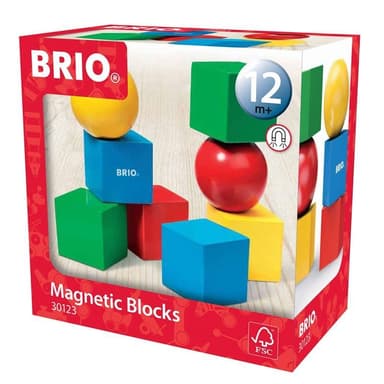 Brio 30123 Magiska Klossar