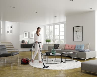 Electrolux PowerForce Animal dammsugare EPF6ANIMAL