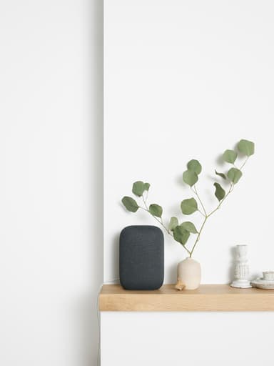 Google Nest Audio (charcoal)