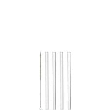 Sugrör Glas 15cm 4-pack + Borste