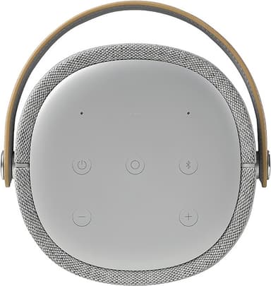 Harman Kardon Citation 200 högtalare (grå)