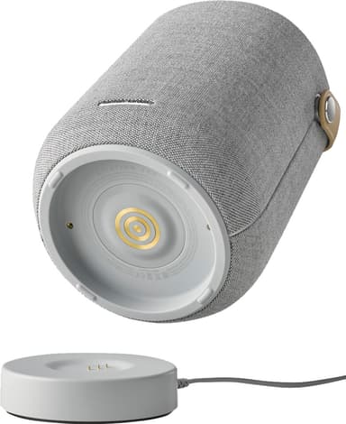 Harman Kardon Citation 200 högtalare (grå)