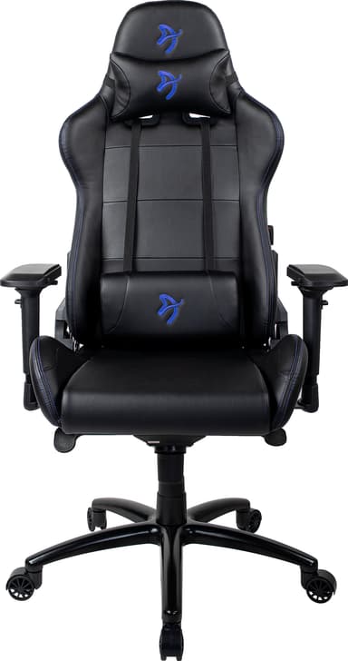 Black/blue