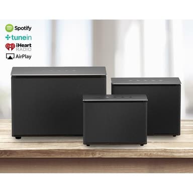 Champion WiFi Speaker Medium