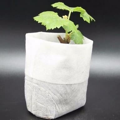 Planteringspåsar i 100-pack
