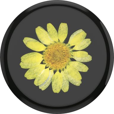 Popsockets Premium mobilhållare (pressed flower yellow daisy)