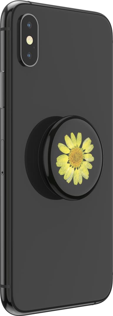 Popsockets Premium mobilhållare (pressed flower yellow daisy)