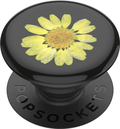 Popsockets Premium mobilhållare (pressed flower yellow daisy)