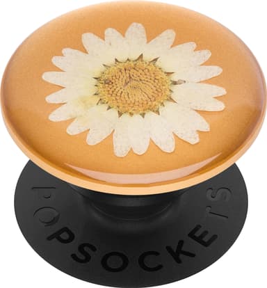 Popsockets Premium mobilhållare (pressed flower white daisy)