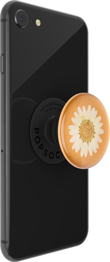 Popsockets Premium mobilhållare (pressed flower white daisy)