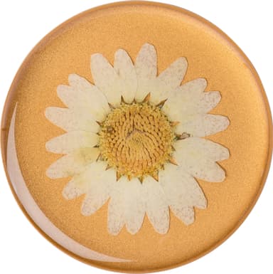 Popsockets Premium mobilhållare (pressed flower white daisy)