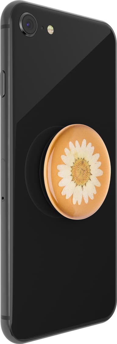 Popsockets Premium mobilhållare (pressed flower white daisy)