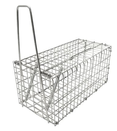 Råttfälla, galvaniserad