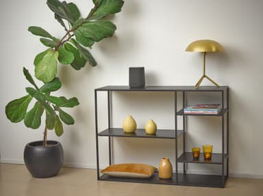 Harman Kardon Citation ONE Gen.1 högtalare (svart)