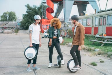 Ninebot by Segway ONE S2 (svart/vit)