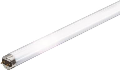 Philips TL-D lysrör PHITLD36W830